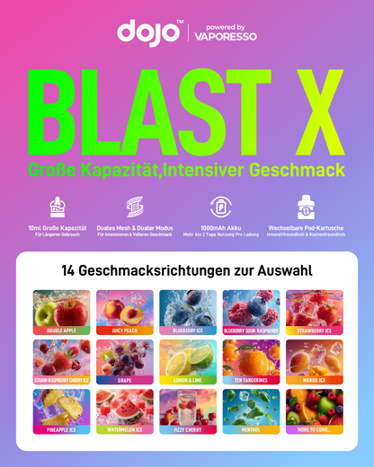 Blast X Batterie 5er Pack